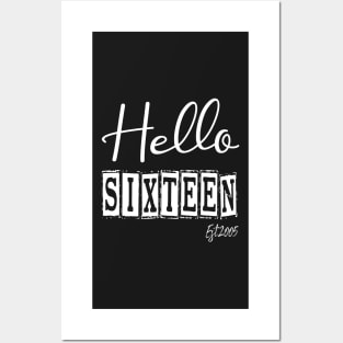 Hello Sixteen Est.2005 16th Funny Birthday Posters and Art